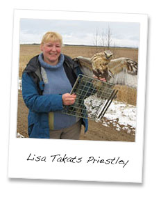 Lisa Takats Priestley holding a Ferruginous Hawk (Buteo regalis) 